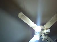 I am a kind and caring young lady I love people I an the kind of person who likes to explore new things in life. I don